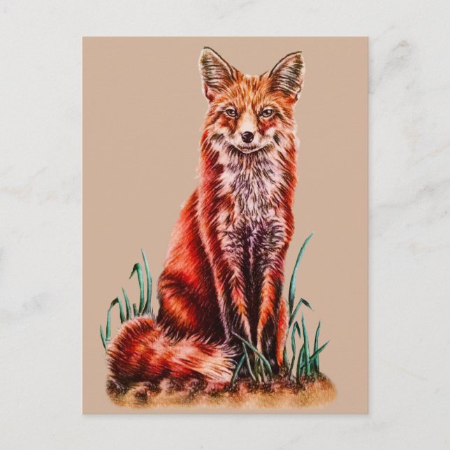 Red Fox Teckning Animal Art Pencil Sketch Foxy Vykort (Framsida)
