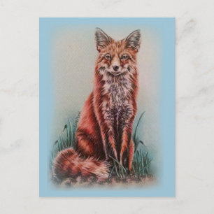Red Fox Teckning Animal Art Pencil Sketch Vykort