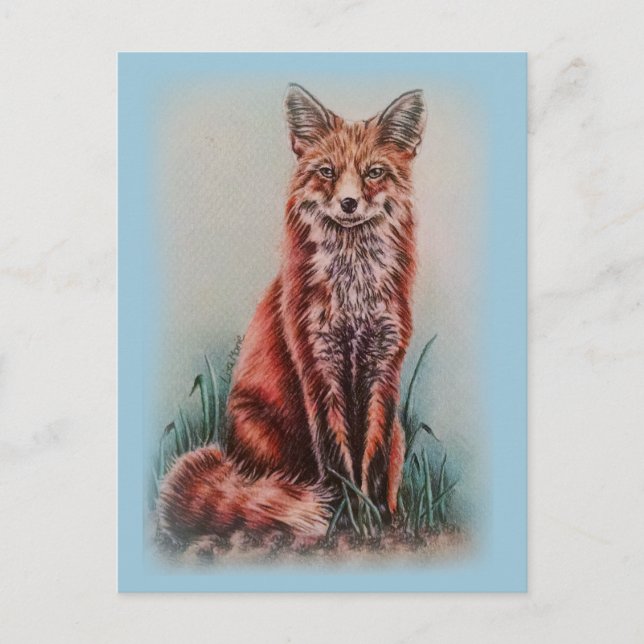 Red Fox Teckning Animal Art Pencil Sketch Vykort (Framsida)