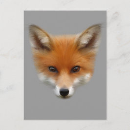 Red Fox Unge vykort