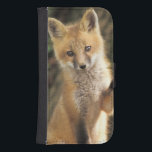 Red Fox valp framför den vulpes vulpes) Plånboksfodral För Samsung Galaxy S4<br><div class="desc">Red Fox valp framför den (Vulpes vulpes) � Adam Jones / DanitaDelimont.com</div>