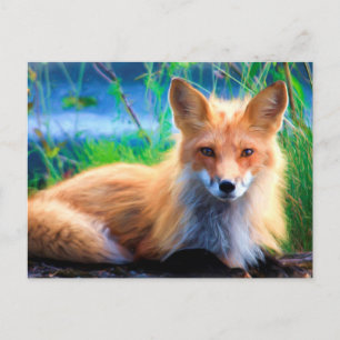 Red Fox Vykort