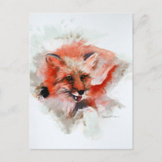 Red Fox Vykort