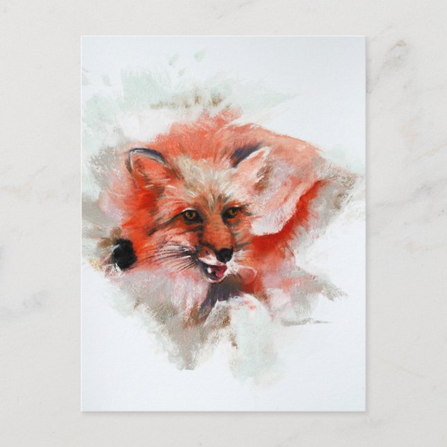 Red Fox Vykort (Framsida)