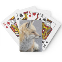 Red Fox Wildlife Photo