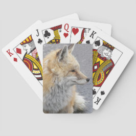 Red Fox Wildlife Photo Casinokort