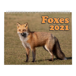 Red Foxes Calendar 2021 Kalender