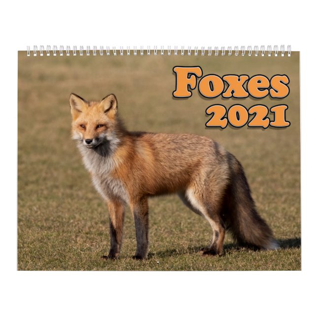 Red Foxes Calendar 2021 Kalender (Omslag)