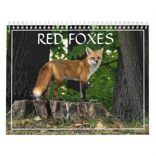 Red Foxes Calendar Kalender (Omslag)