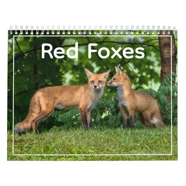 Red Foxes Calendar Kalender (Omslag)