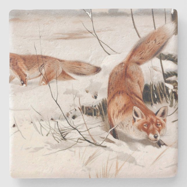 Red Foxes in the Winter Snow (by Wilhelm Kuhnert) Stenunderlägg (Framsidan)