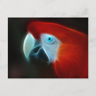 Red Fractal Parrot blue öga Vykort