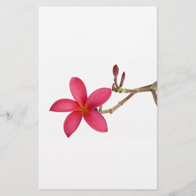 Red Frangipani-blomman (Framsida)