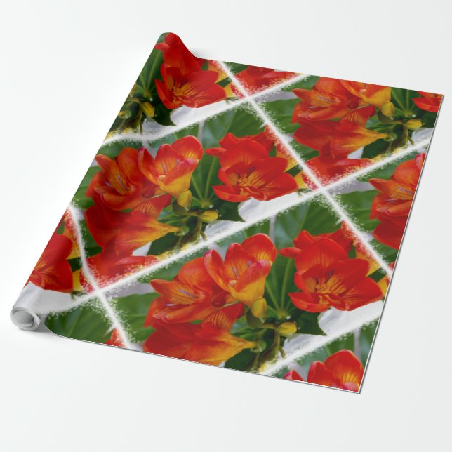 Red freesia presentpapper (Utrullad)