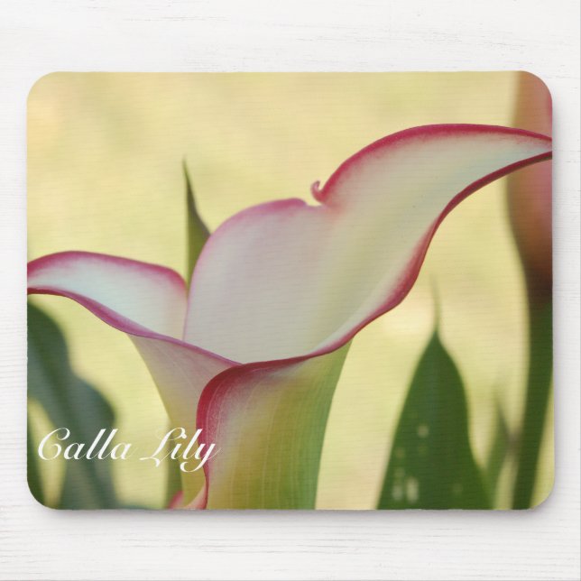 Red Fringe Calla Lily Musmatta (Framsidan)