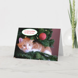 Red Funny Orange Cat i Julgran Helgkort