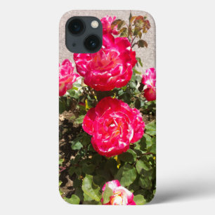 Red Garden Ro