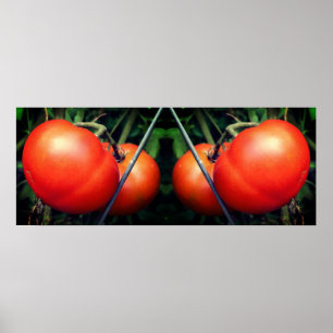 Red Garden Tomatis på Abstrakten Vine Spegel Poster