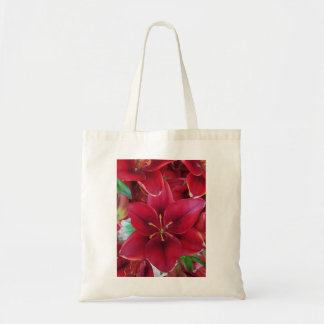 Red Garden Tygkasse