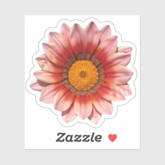 Red Gazania Treasure Flower Blommar Klistermärken