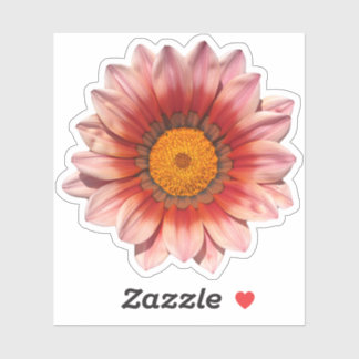 Red Gazania Treasure Flower Blommar Klistermärken