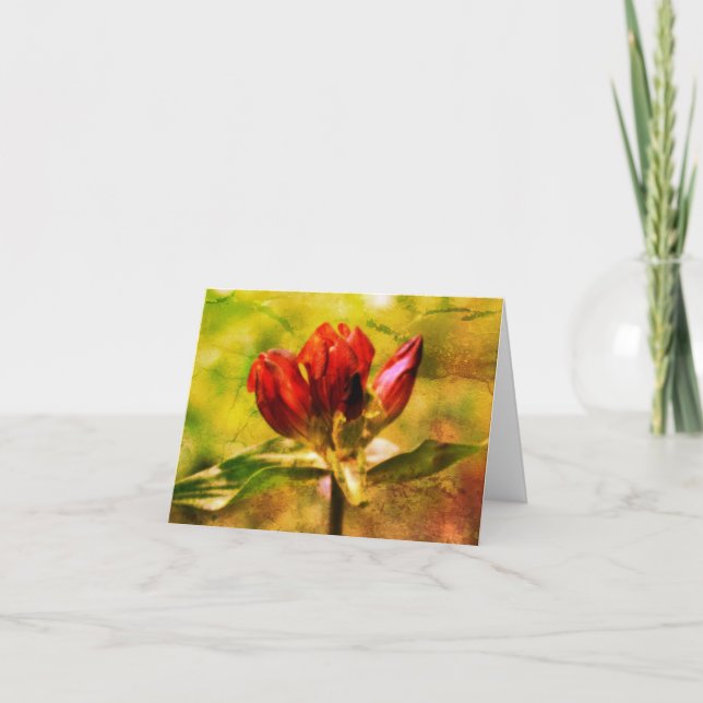 Red Gentian Blommigt Art Note Card Tack Kort (Framsida)