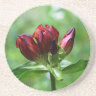 Red Gentian Blommigt Underlägg