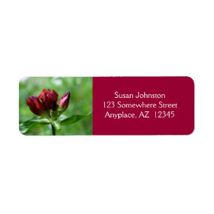 Red Gentian Flower Adress Returadress Etikett