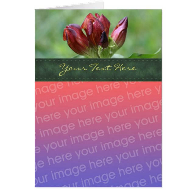 Red Gentian Flower Photo Card Hälsningskort (Framsidan)