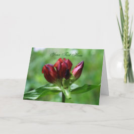 Red Gentian Flower Photo Card Kort