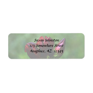Red Gentian in Bloom Flower Address Label Returadress Etikett