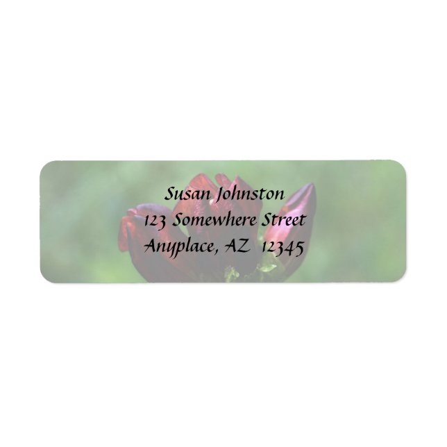 Red Gentian in Bloom Flower Address Label Returadress Etikett (Framsidan)