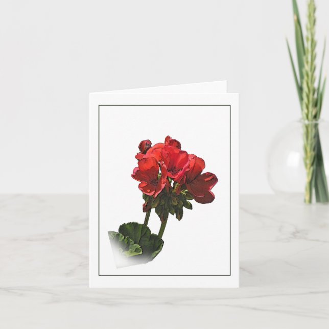 Red Geranium Botanical Sketch Note Card Kort (Framsida)