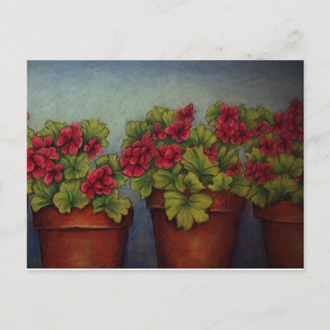 Red Geraniums in clay pots Vykort (Framsida)