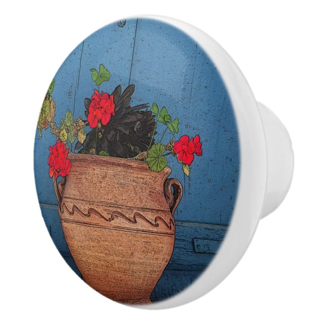 RED GERANIUMS, TERRA COTTA POT, BLUE DOOR KNOPP (Höger)