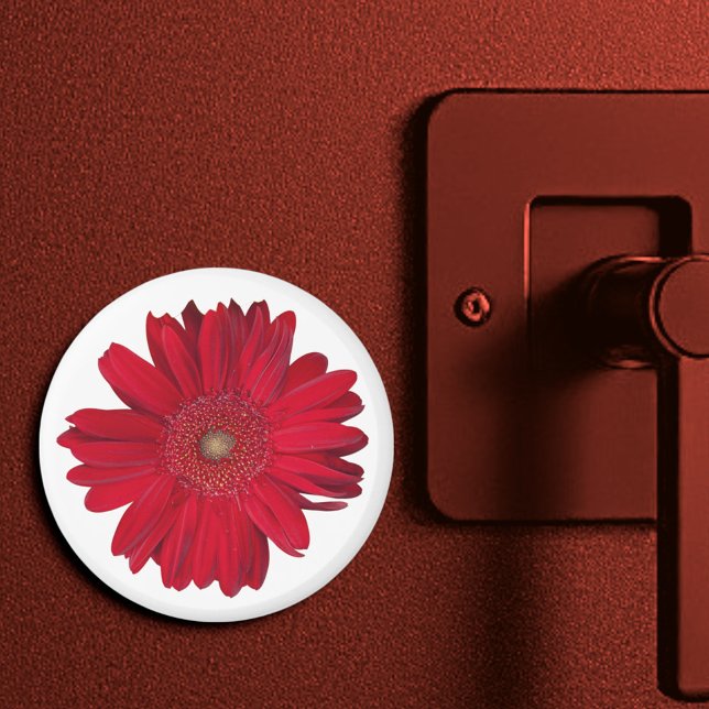 Red Gerber Daisy Close Photographic Magnet (3" round magnet)