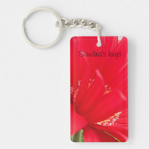 Red Gerber Gerbera daisy skapar din egen