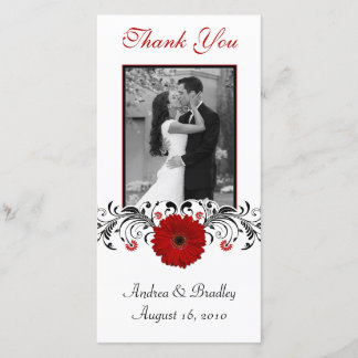 Red Gerbera Daisy Blommigt Tack Photo Card Kort
