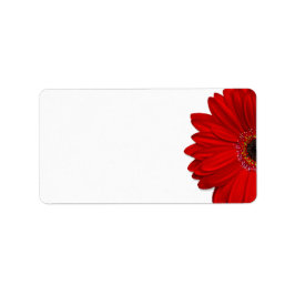 Red Gerbera Daisy Bröllop Blank Address Label Adressetikett