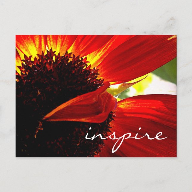 Red Gerbera Daisy Flower Inspire Script Modern Vykort (Framsida)