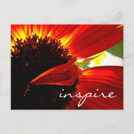 Red Gerbera Daisy Flower Inspire Script Modern Vykort