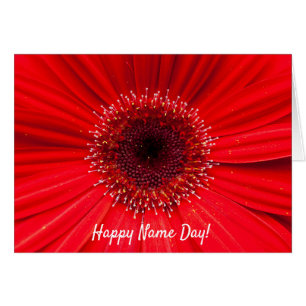 Red Gerbera Daisy för Namn Day Hälsningskort