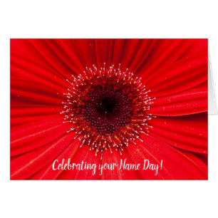 Red Gerbera Daisy för Namn Day Hälsningskort
