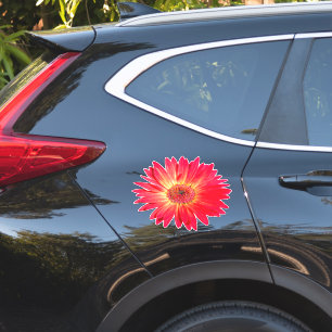 Red Gerbera Daisy Klistermärken