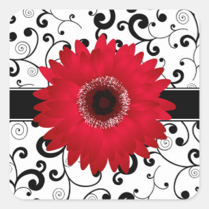 Red Gerbera Daisy med Black Scroll Design Seal Fyrkantigt Klistermärke