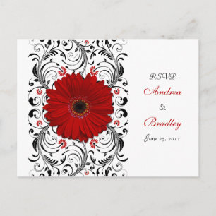 Red Gerbera Daisy OSA Postcard Inbjudan Vykort
