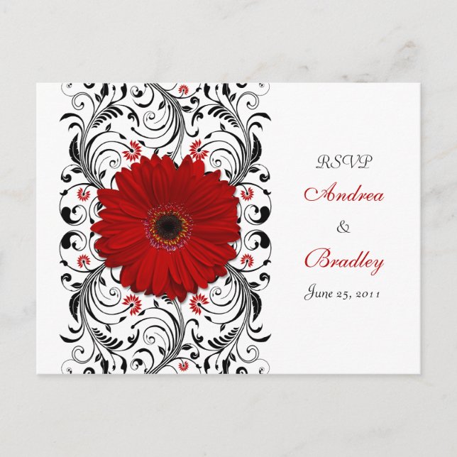 Red Gerbera Daisy OSA Postcard Inbjudan Vykort (Framsida)