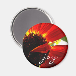 Red Gerbera Daisy Photo Joy Script Bold Modern Magnet