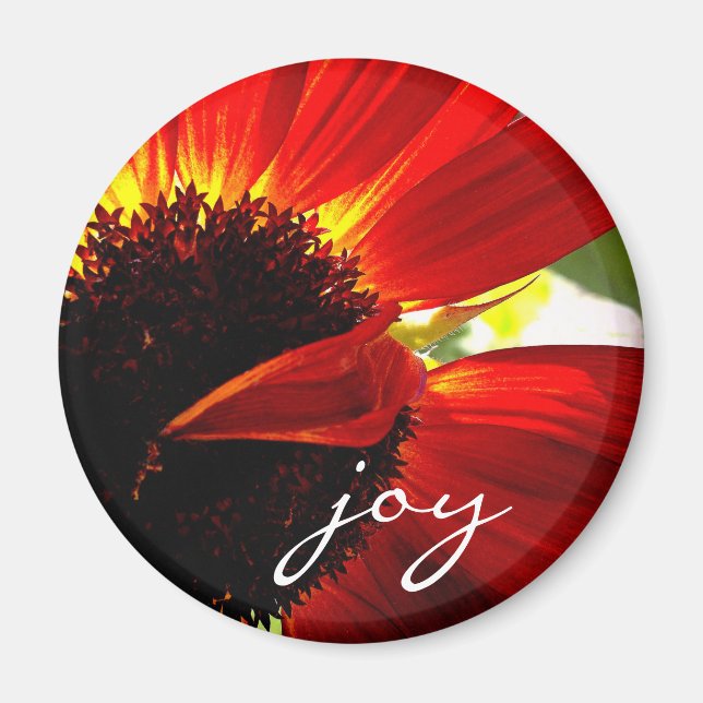 Red Gerbera Daisy Photo Joy Script Bold Modern Magnet (Framsidan)