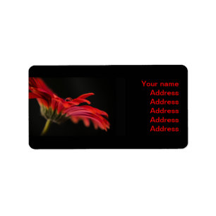 Red Gerbera Flower Bröllop Adressetiketter